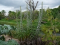 03ZooDublin_BStelzer.JPG