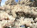 IMG-20230330-WA0012