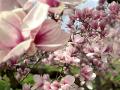 IMG-20230330-WA0017