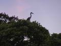 klein_Sommerabend-37