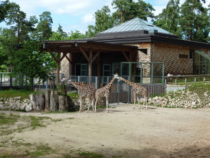 Zoo_Giraffenhaus.JPG