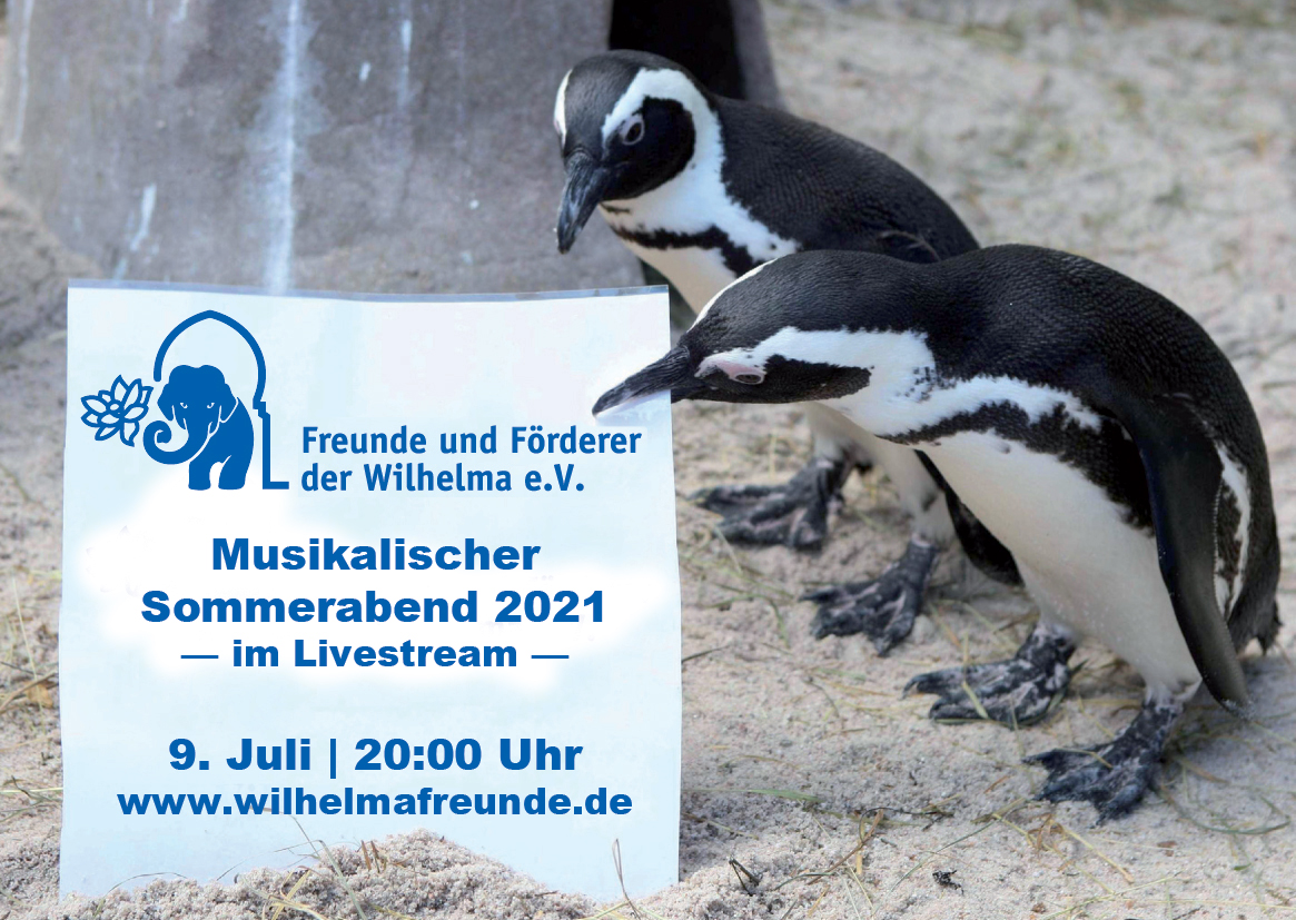 Musikalischer Sommerabend