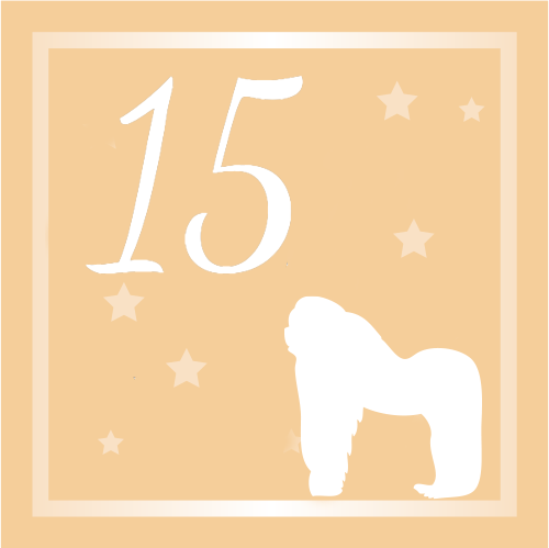 door-Tag 15