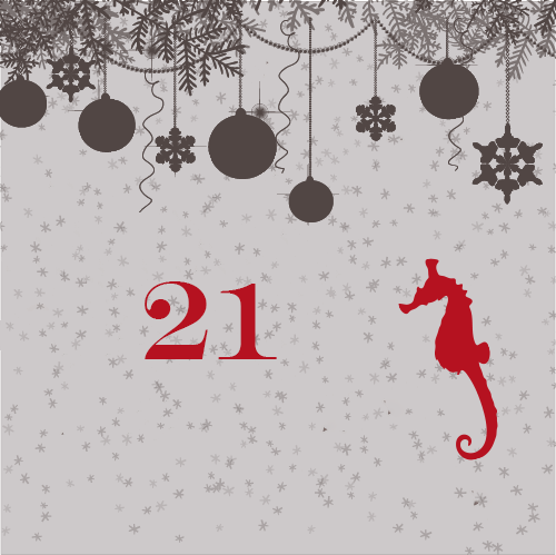 door-Tag 21