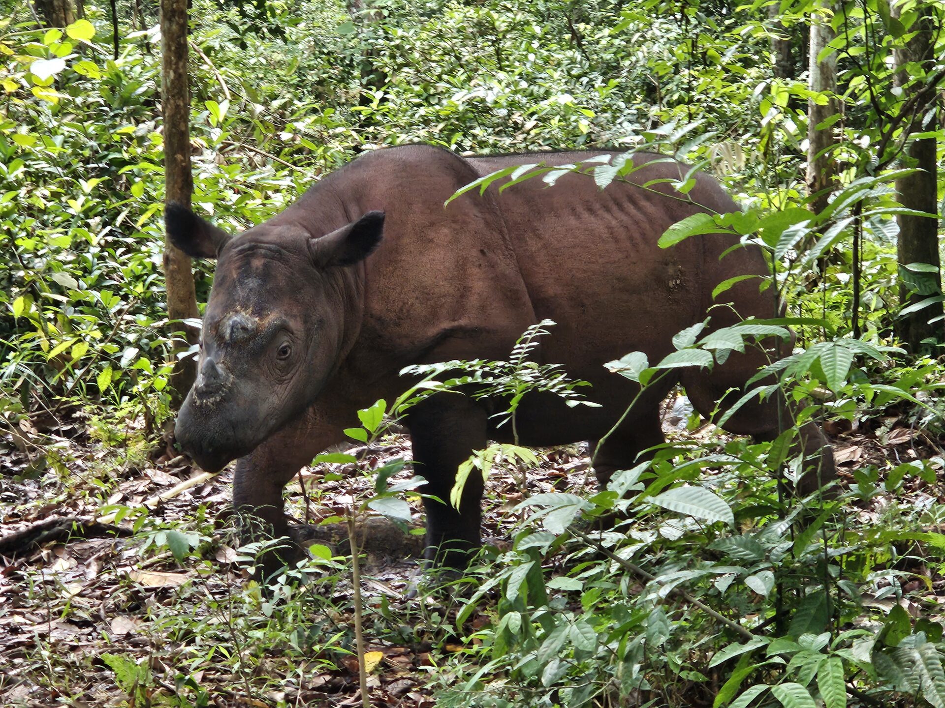 Solveig & Klaus Hummel