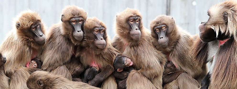 Solveig & Klaus Hummel