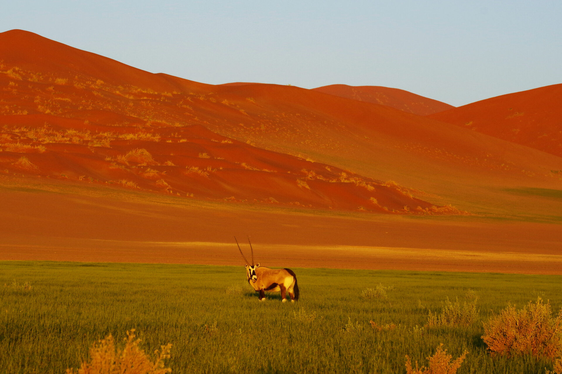 Solveig & Klaus Hummel