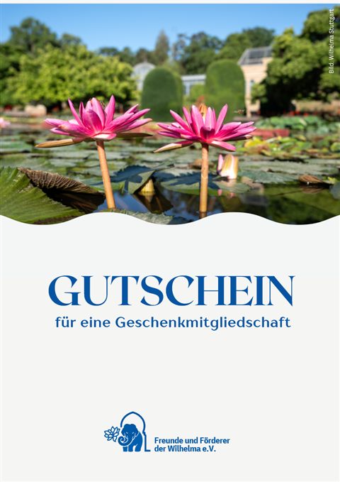 Gutschein Ohne Anlass Gutschein für eine Geschenkmitgliedschaft – Ohne Anlass
